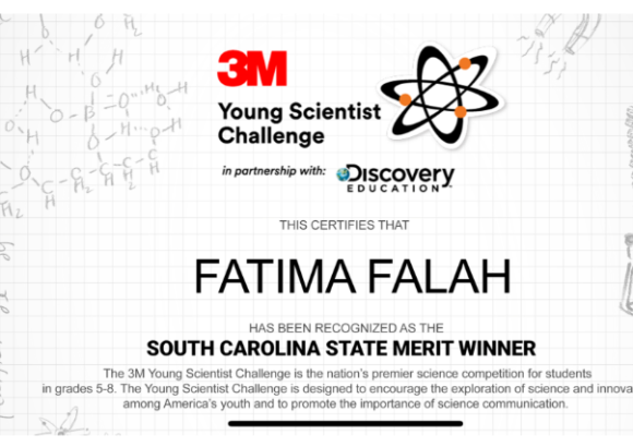 Beacon Hill Middle Schooler named state merit winner in 3M Young Scientist  Challenge – Decaturish - Locally sourced news